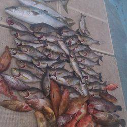 旭星釣りセンター 釣果