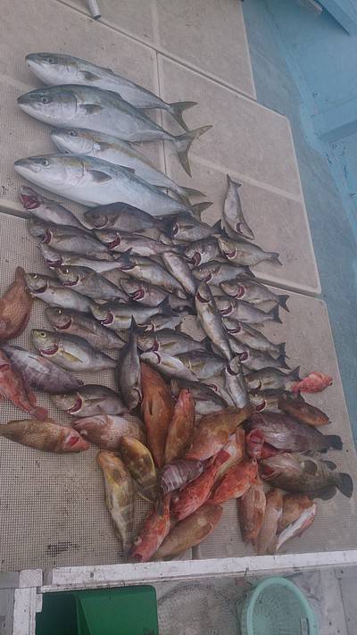 旭星釣りセンター 釣果