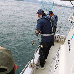 松本釣船2 釣果