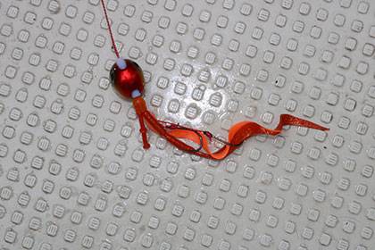 松本釣船2 釣果