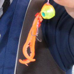 松本釣船2 釣果