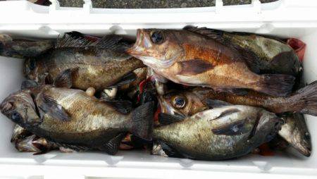 オーフリー 釣果