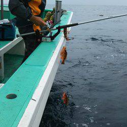 モンロー号 釣果