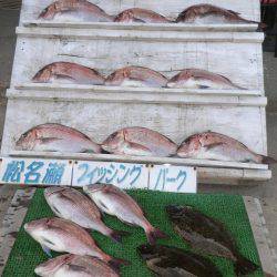 松名瀬フィッシングパーク 釣果