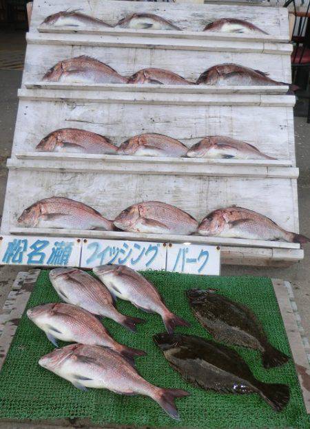 松名瀬フィッシングパーク 釣果