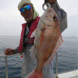 マタウマリンサービス 釣果