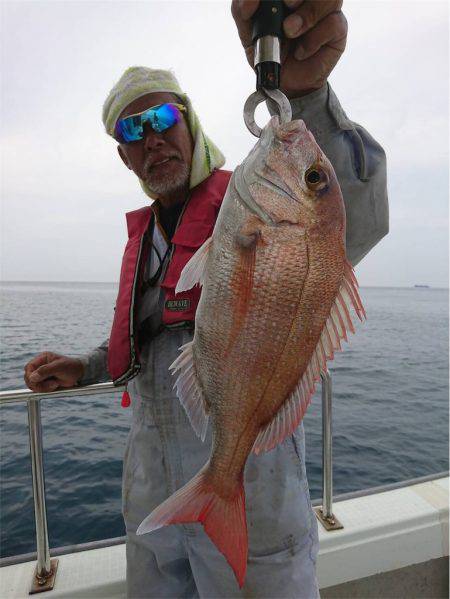 マタウマリンサービス 釣果