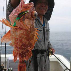 マタウマリンサービス 釣果