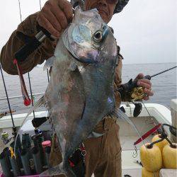 マタウマリンサービス 釣果