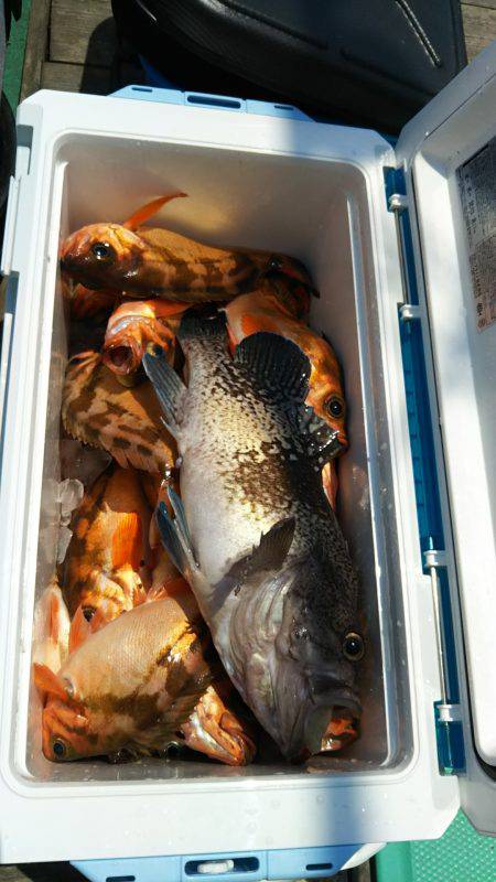 モンロー号 釣果