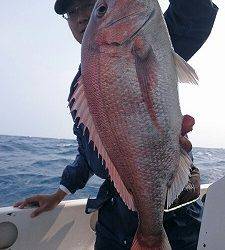 海龍丸(福岡) 釣果