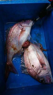 海龍丸(福岡) 釣果