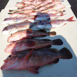 オーフリー 釣果