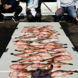 オーフリー 釣果