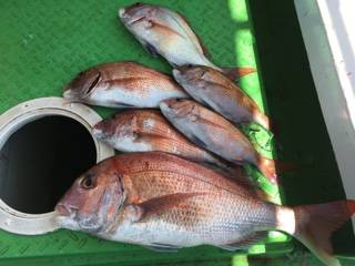 利弥丸（としやまる） 釣果