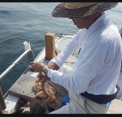 内浜丸 釣果