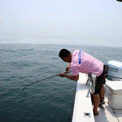 フルコンタクト 釣果