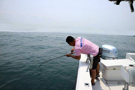 フルコンタクト 釣果