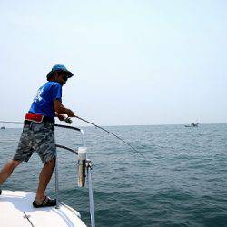 フルコンタクト 釣果