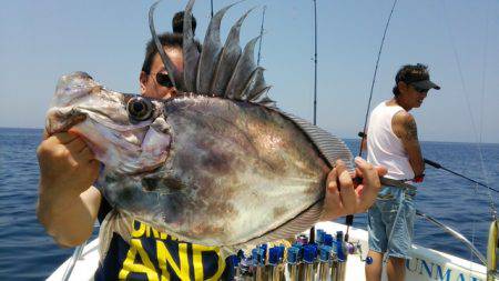 海運丸 釣果