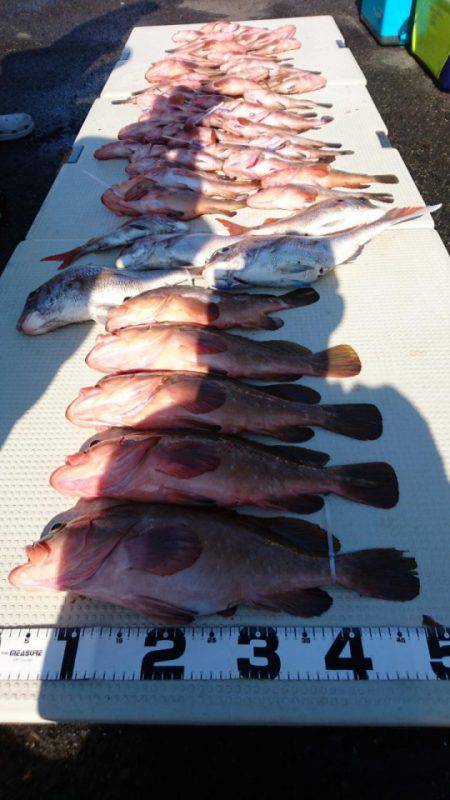 オーフリー 釣果