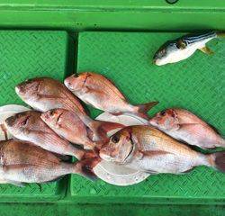 利弥丸（としやまる） 釣果