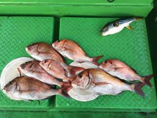 利弥丸（としやまる） 釣果