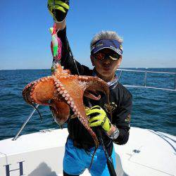 フルコンタクト 釣果