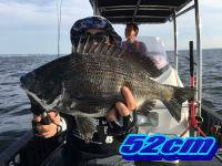 オーシャンマスター 釣果