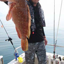 オーフリー 釣果