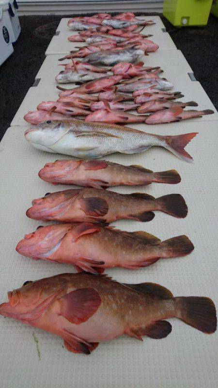 オーフリー 釣果