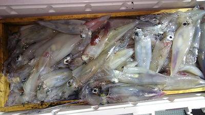 海龍丸(福岡) 釣果