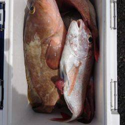 オーフリー 釣果