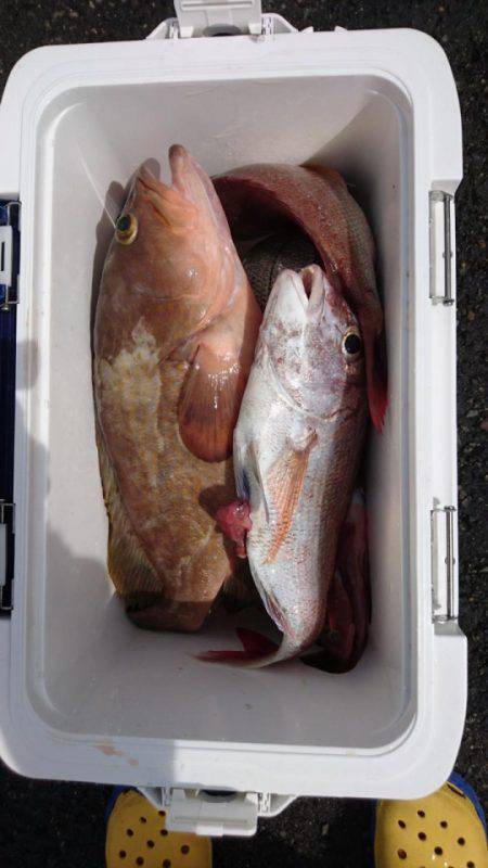 オーフリー 釣果