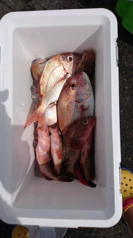 オーフリー 釣果