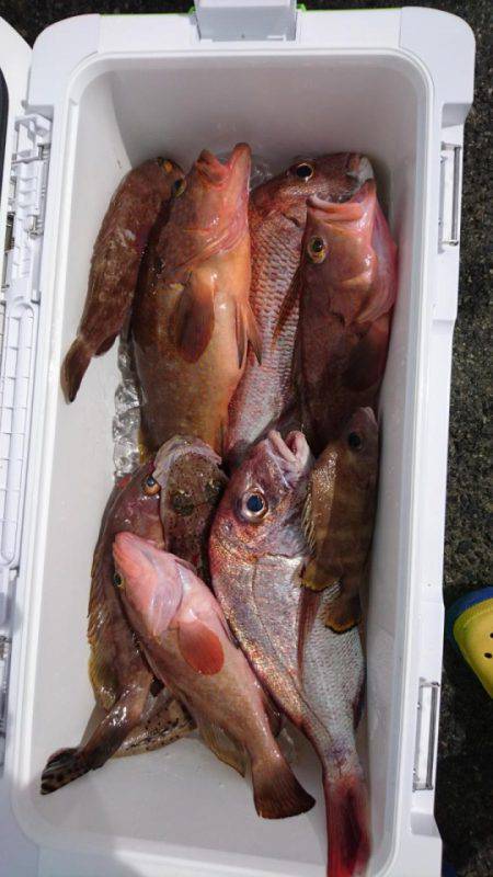 オーフリー 釣果