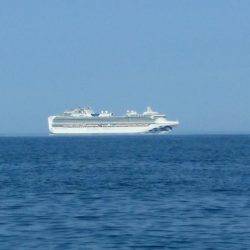 第八平成丸 釣果