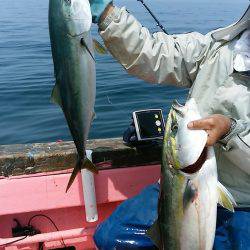 第八平成丸 釣果