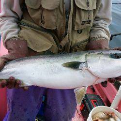 第八平成丸 釣果