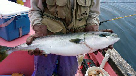 第八平成丸 釣果