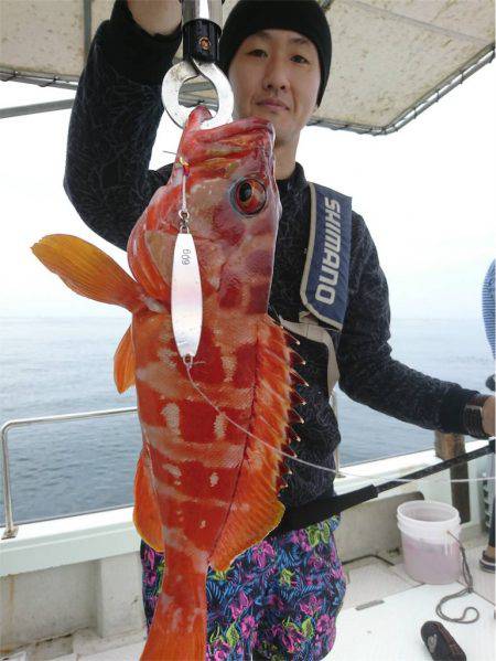 マタウマリンサービス 釣果