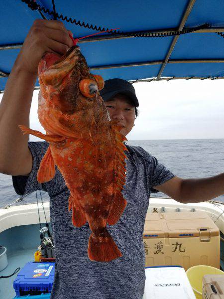 香織丸 釣果