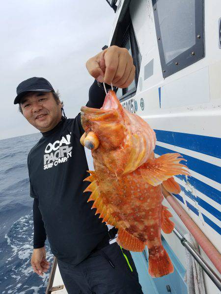 香織丸 釣果