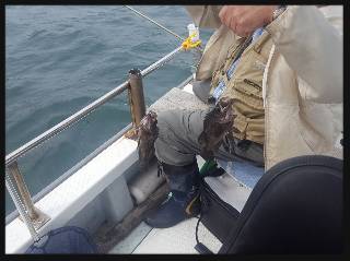内浜丸 釣果
