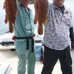 オーフリー 釣果