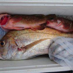 オーフリー 釣果