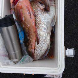 オーフリー 釣果