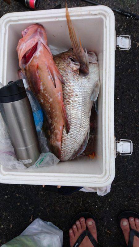 オーフリー 釣果