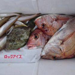 オーフリー 釣果