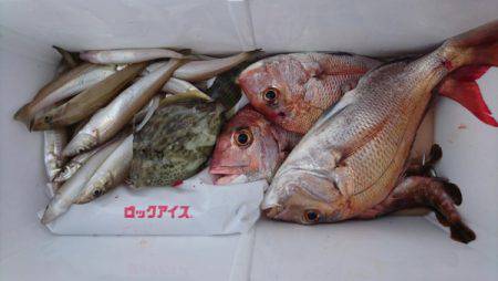 オーフリー 釣果